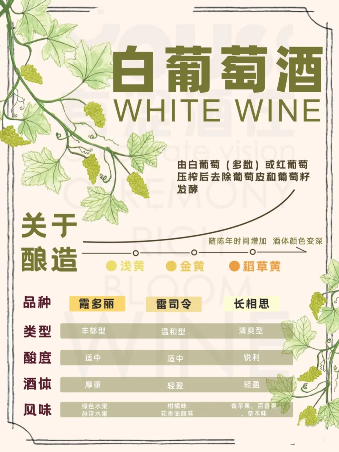 收藏几张图，带你入门葡萄酒品酒小知识✨