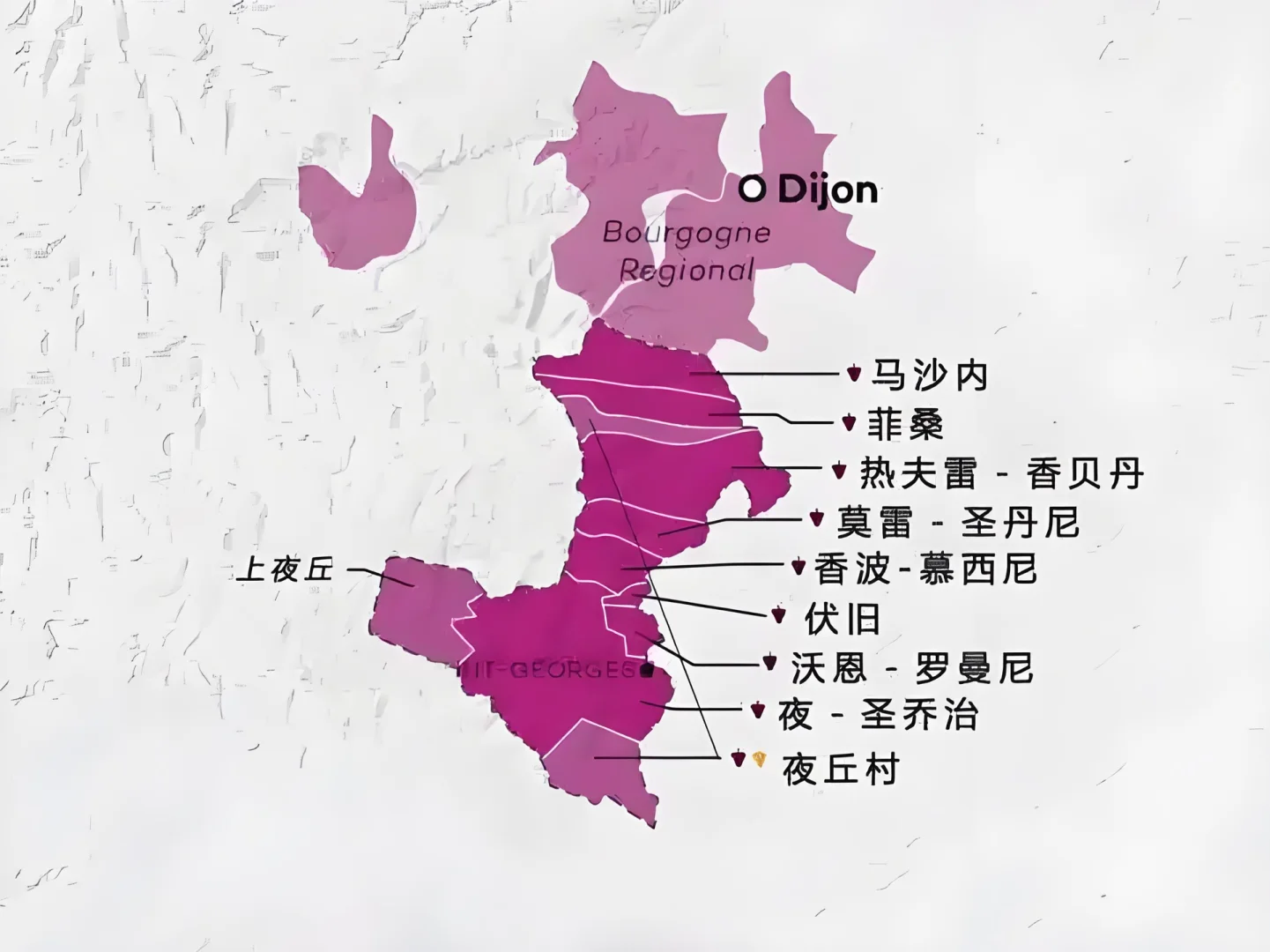 夜丘——“勃艮第红葡萄酒的心脏”