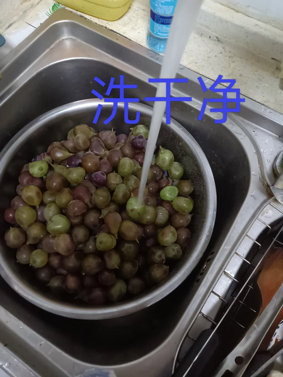 自己做葡萄酒