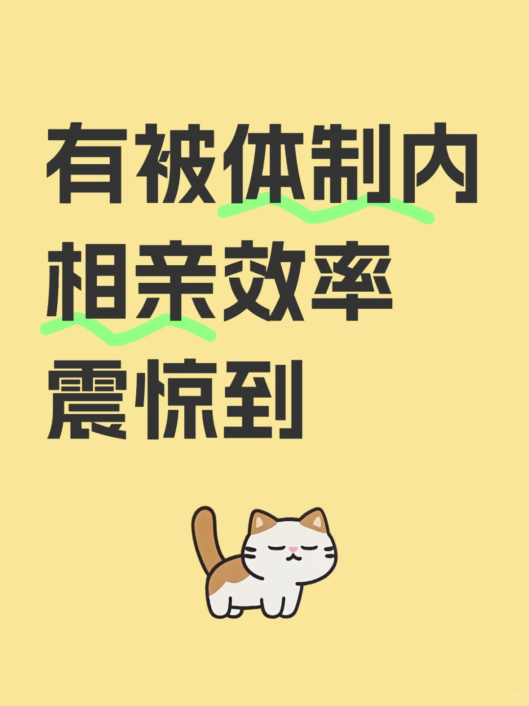 真的有被体制内相亲效率震惊到??