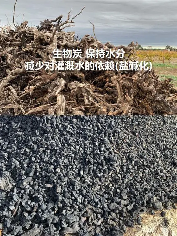 夏日必备?宝真桃红葡萄酒