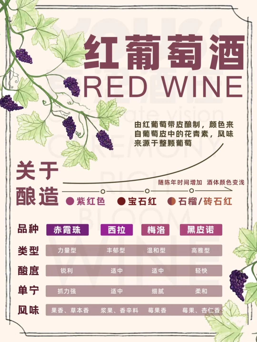 收藏几张图，带你入门葡萄酒品酒小知识✨