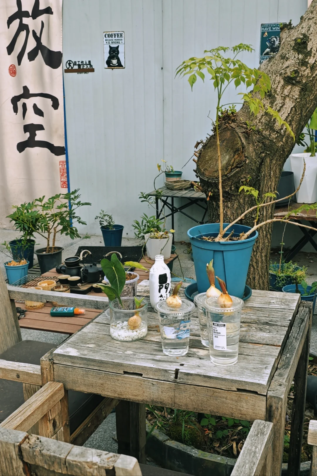 挑战全网生意最差小酒馆（3.29营业额788）