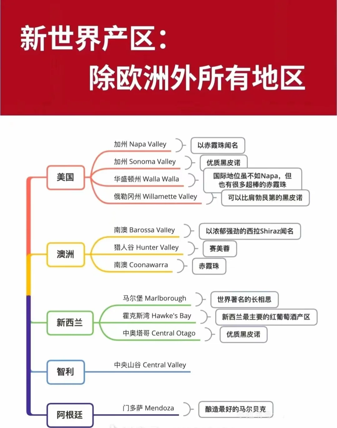 秒懂葡萄酒入门知识?学会你也是品酒高手