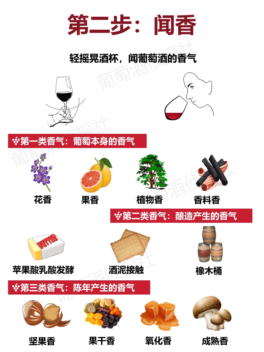 1分钟秒变品酒达人，不服的进来……