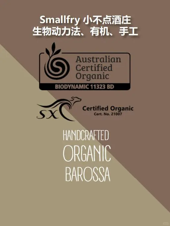 夏日必备?宝真桃红葡萄酒