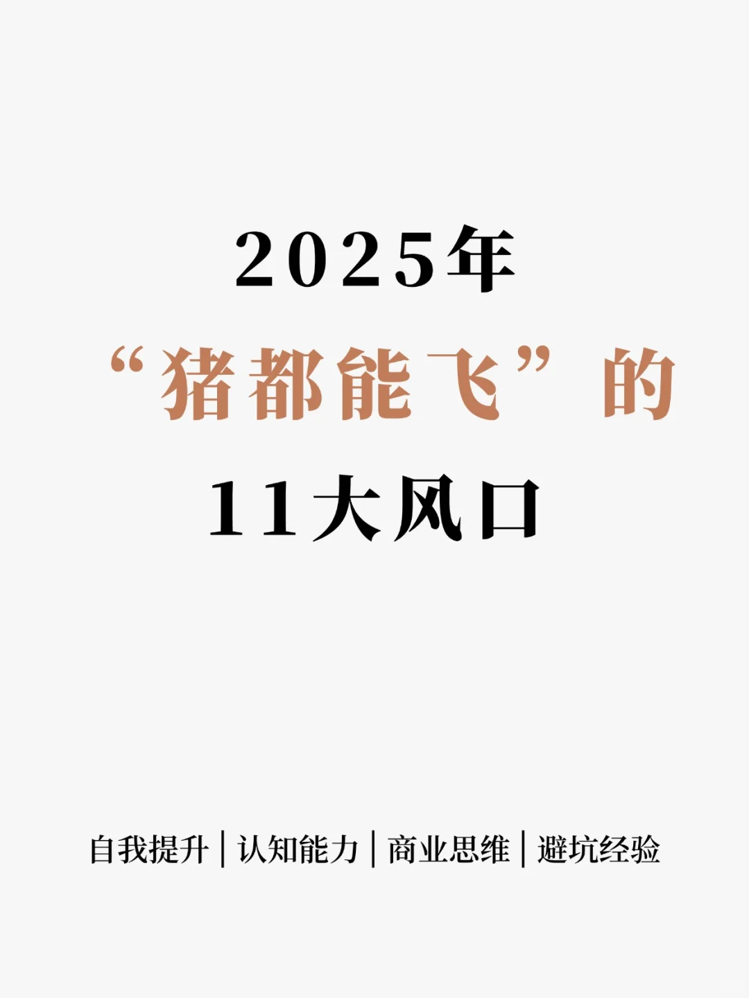 2025年“?都能飞”的11大风口行业?