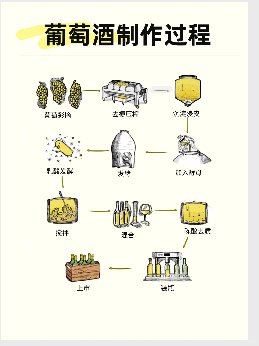 1分钟看懂葡萄酒颜色秘密！