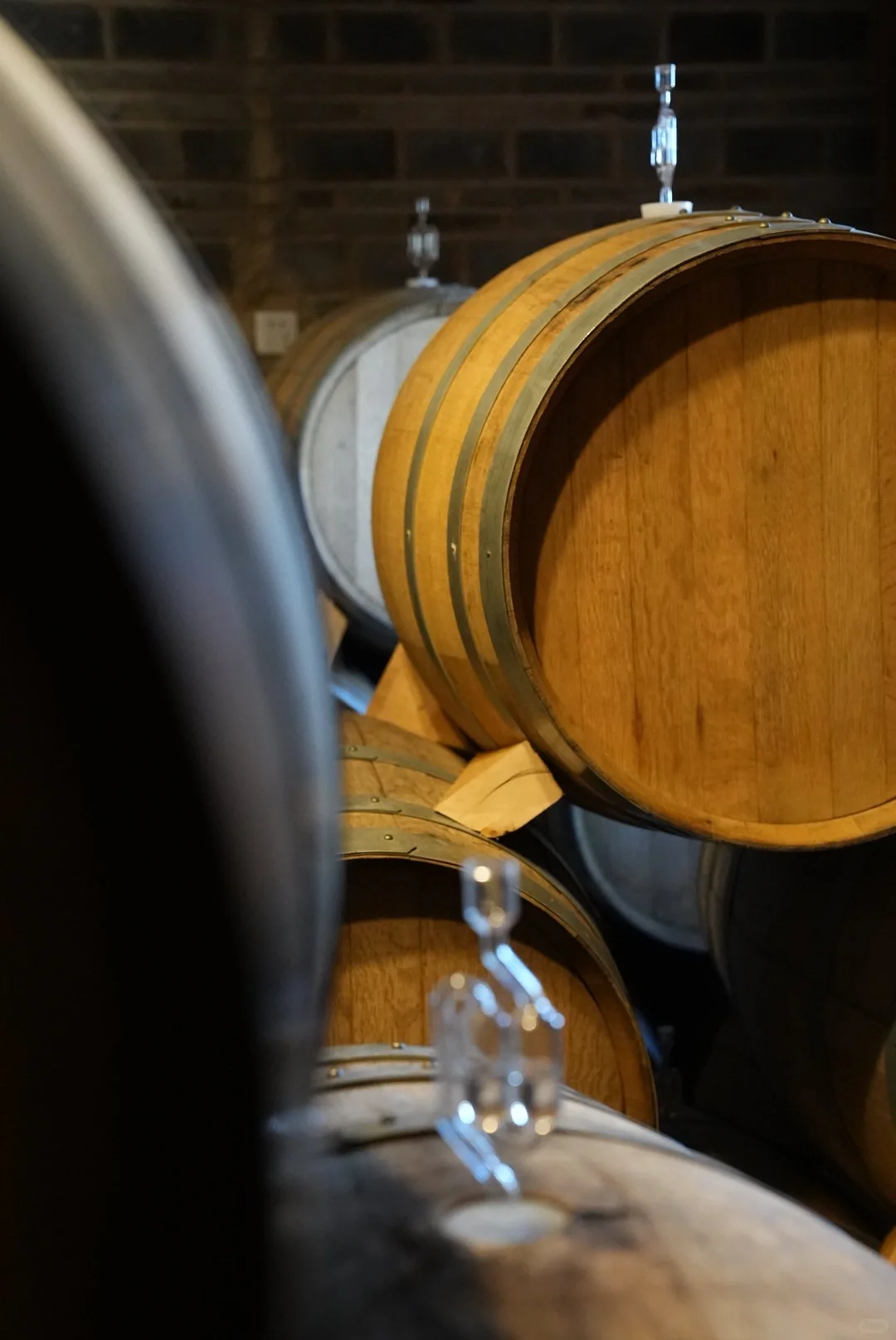 中国葡萄酒市场的崛起，我成为了一份子！