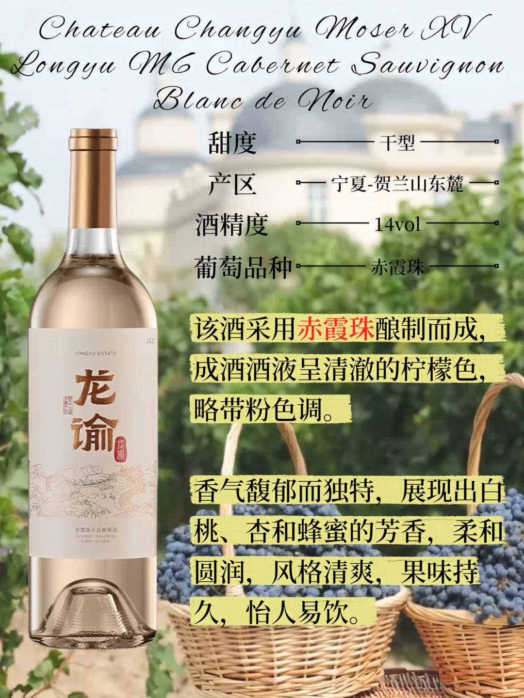 葡萄酒生存日历:职场人每日5分钟品鉴课
