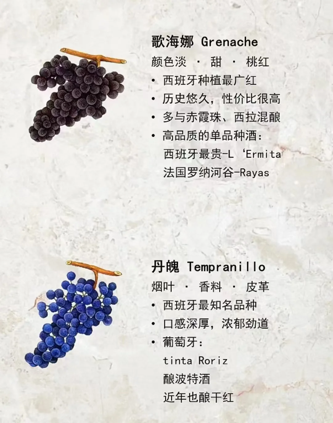 酿造葡萄酒最常见的葡萄品种