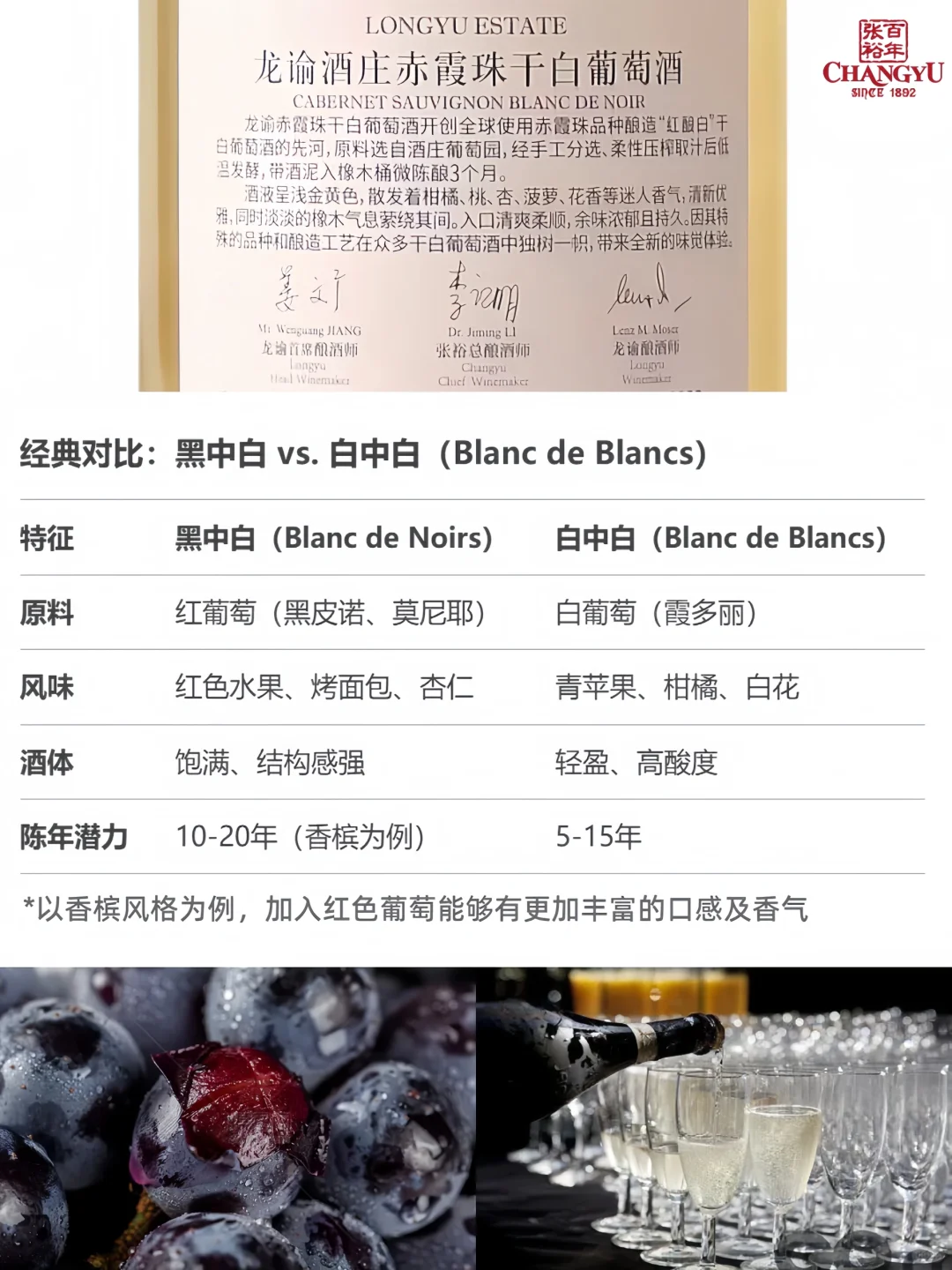 葡萄酒生存日历:职场人每日5分钟品鉴课