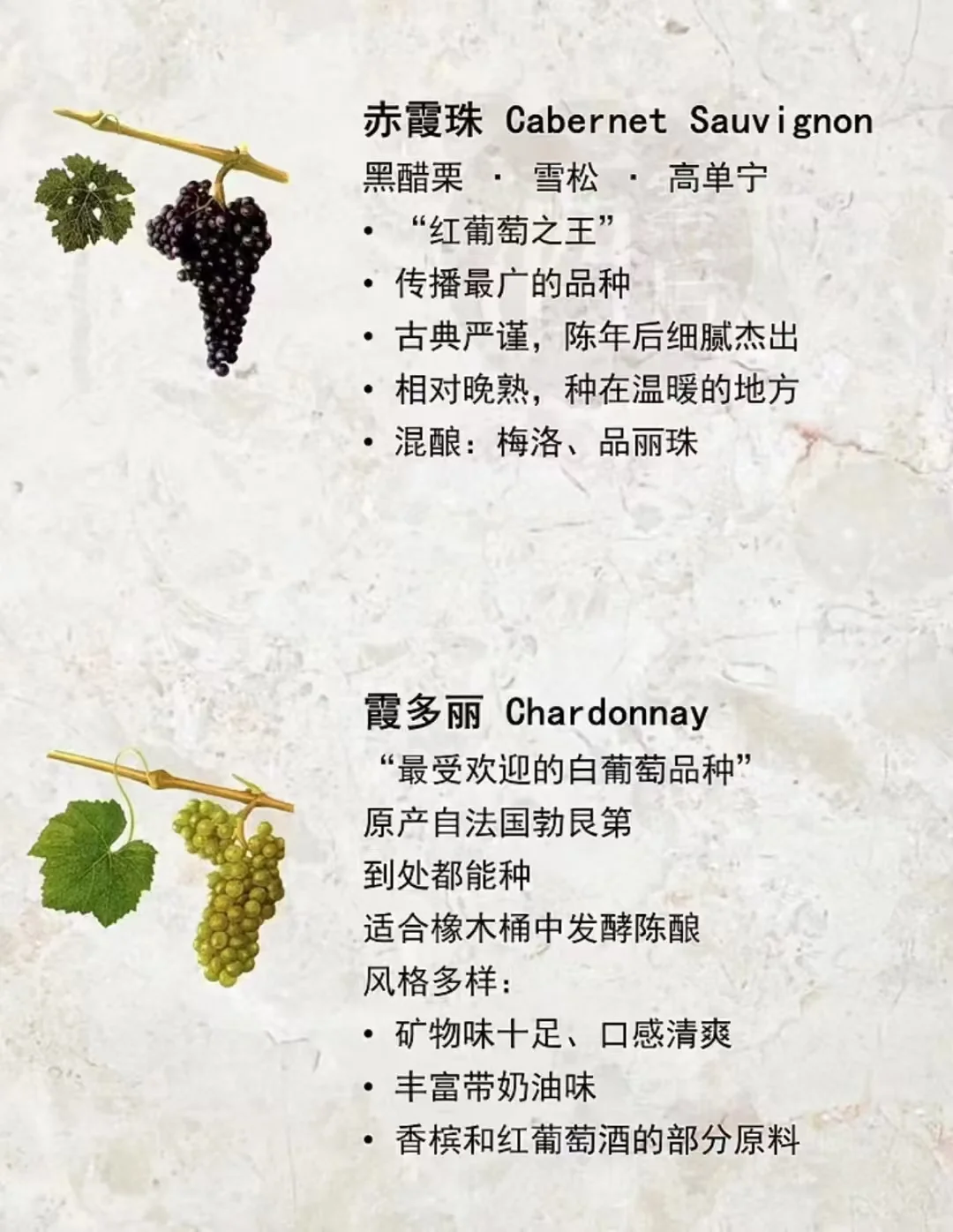 酿造葡萄酒最常见的葡萄品种