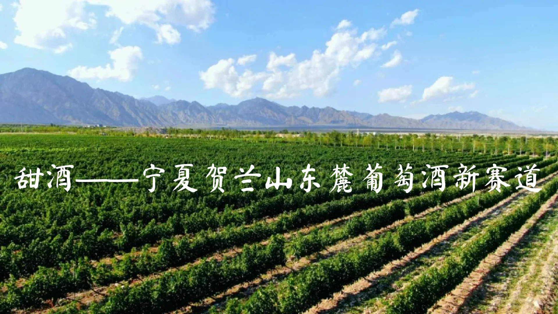 甜酒，贺兰山东麓葡萄酒的新赛道