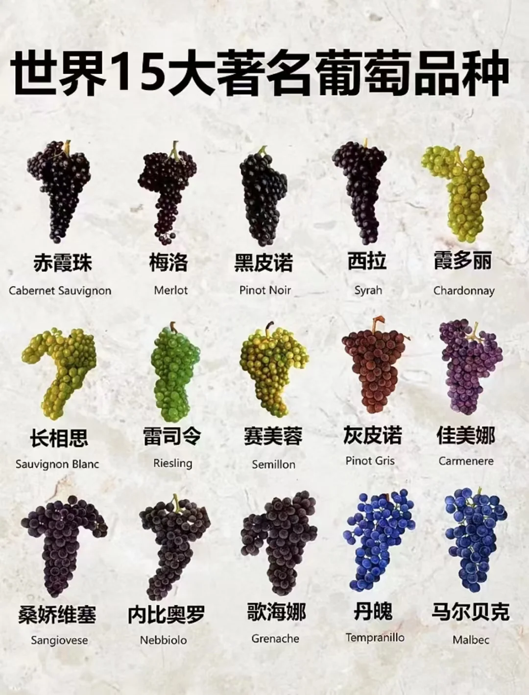酿造葡萄酒最常见的葡萄品种