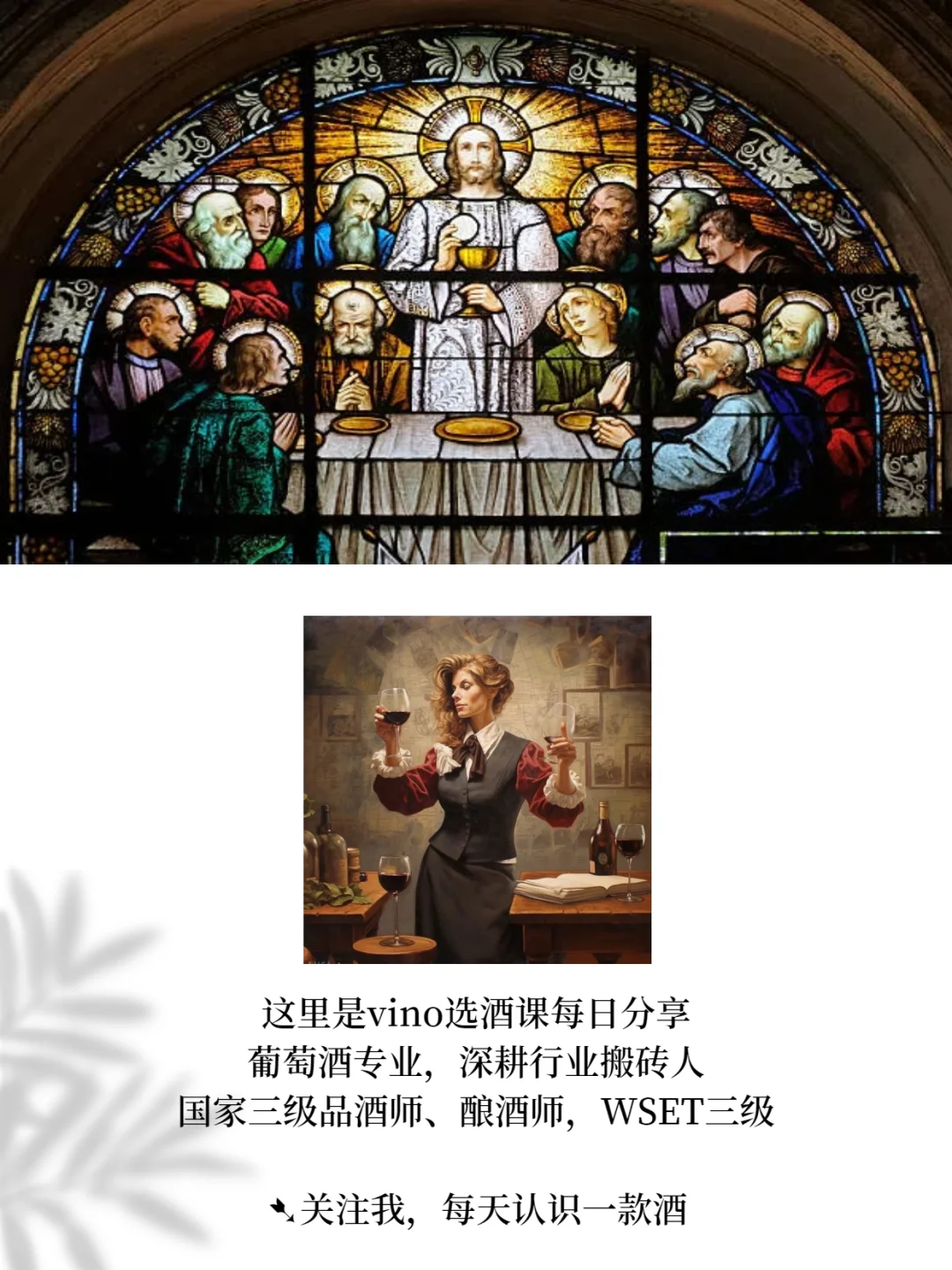 葡萄酒生存日历:职场人每日5分钟品鉴课