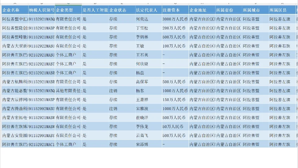 2024年中国人工智能企业数据库数据