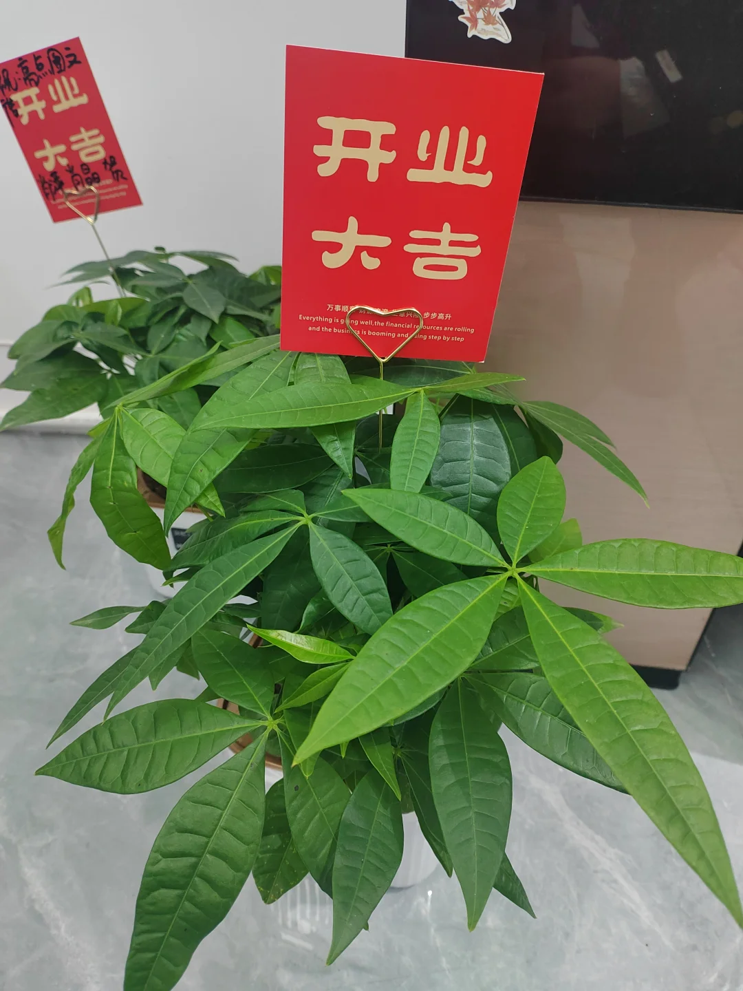广告小店5个月创业记:从线下到线上的转型