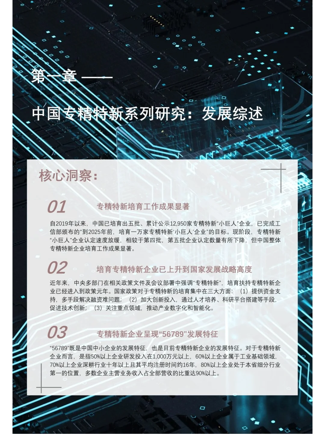 351页 | 2024年中国专精特新企业发展白皮书
