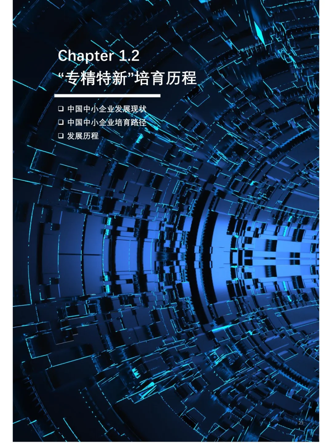 351页 | 2024年中国专精特新企业发展白皮书
