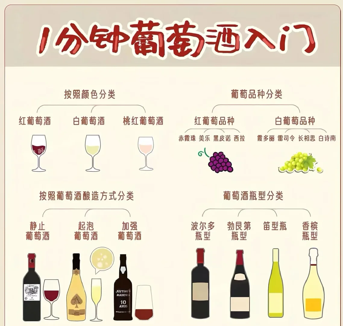 葡萄酒小白速进！1分钟开启葡萄酒探索之旅