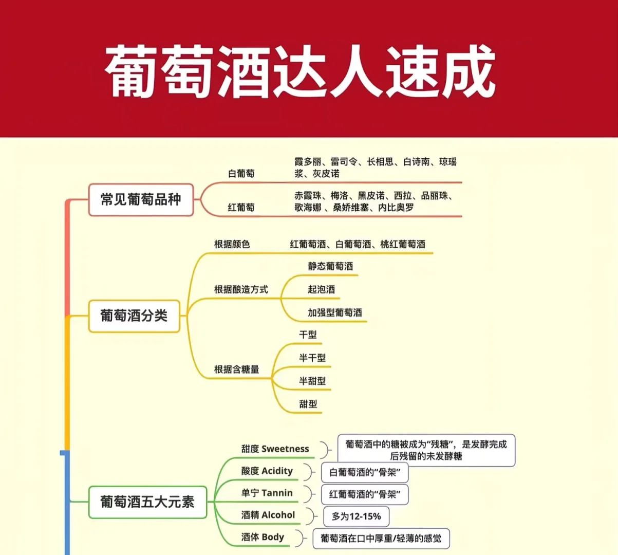 葡萄酒小白速进！1分钟开启葡萄酒探索之旅