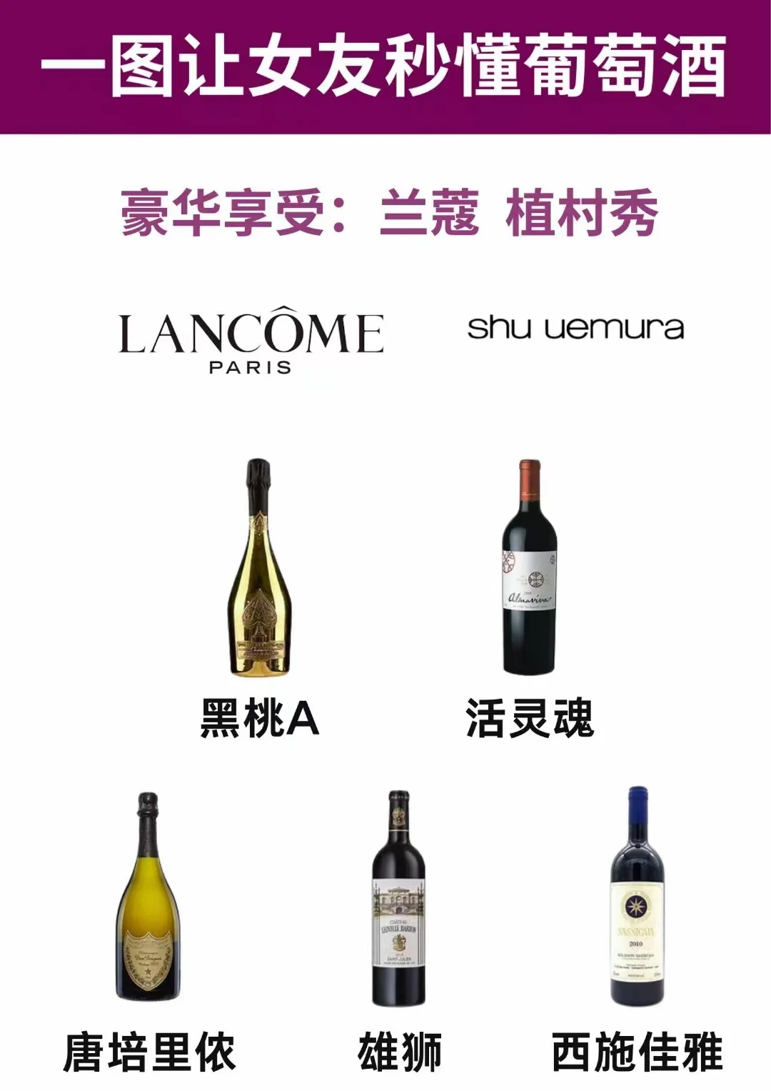 让女友速懂葡萄酒❗