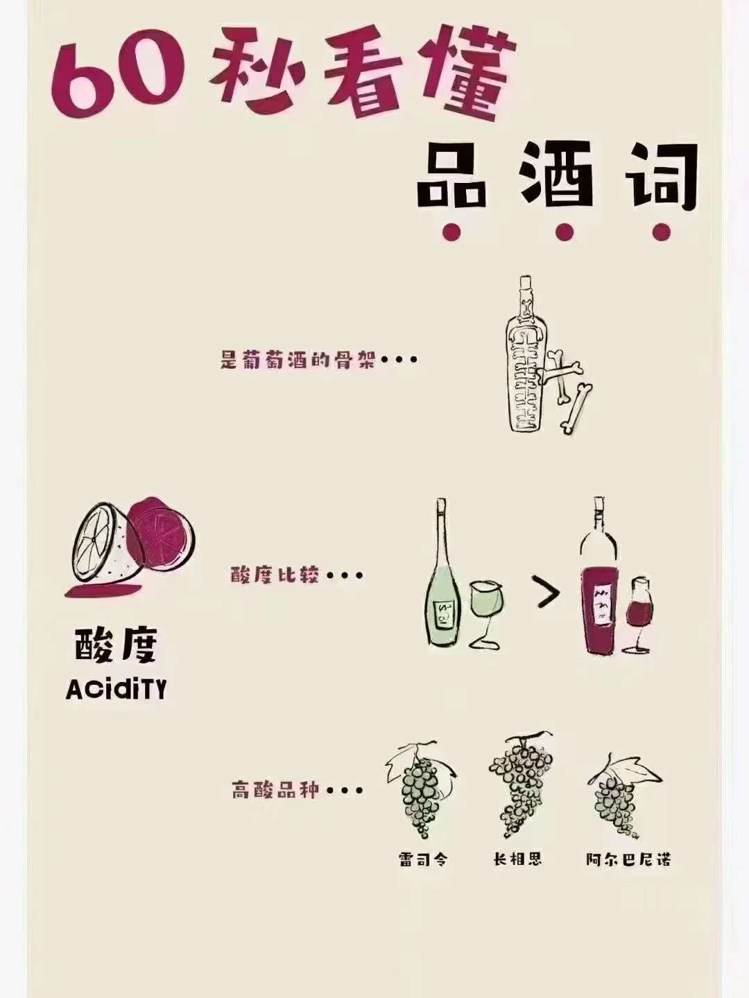 ?一分钟了解葡萄酒
