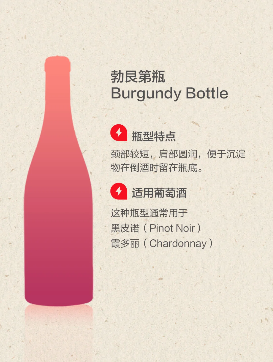 一起来认常见8种瓶型 葡萄酒知识 入门知识