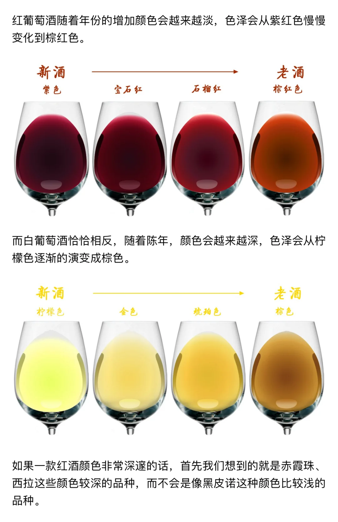 如何品一款葡萄酒