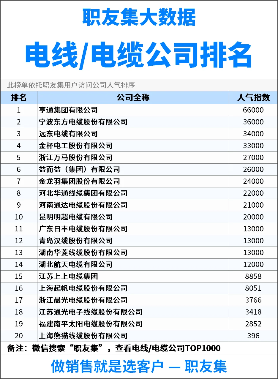 2025年中国‌‌‌电线/电缆公司排行榜