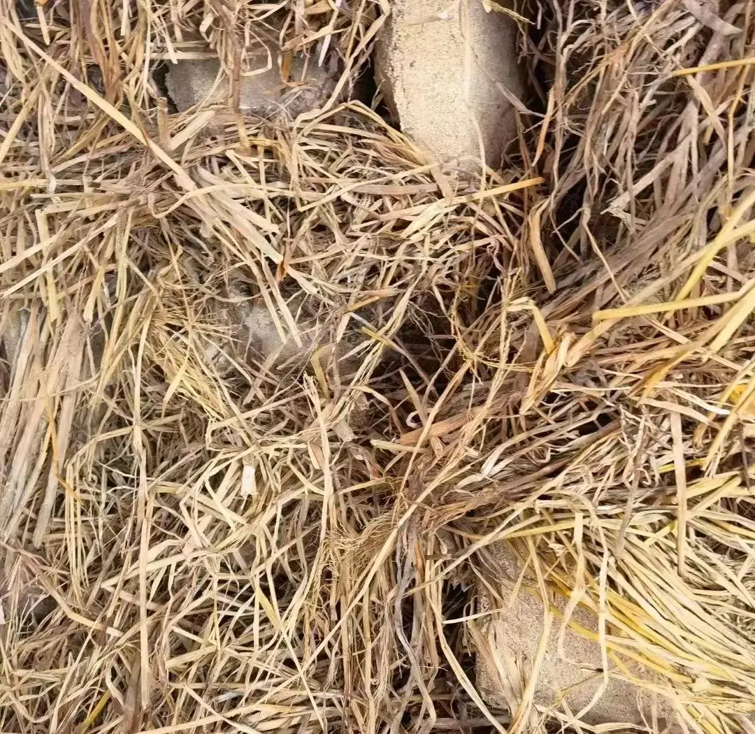 酱香型白酒中的网红酒应不应该打击