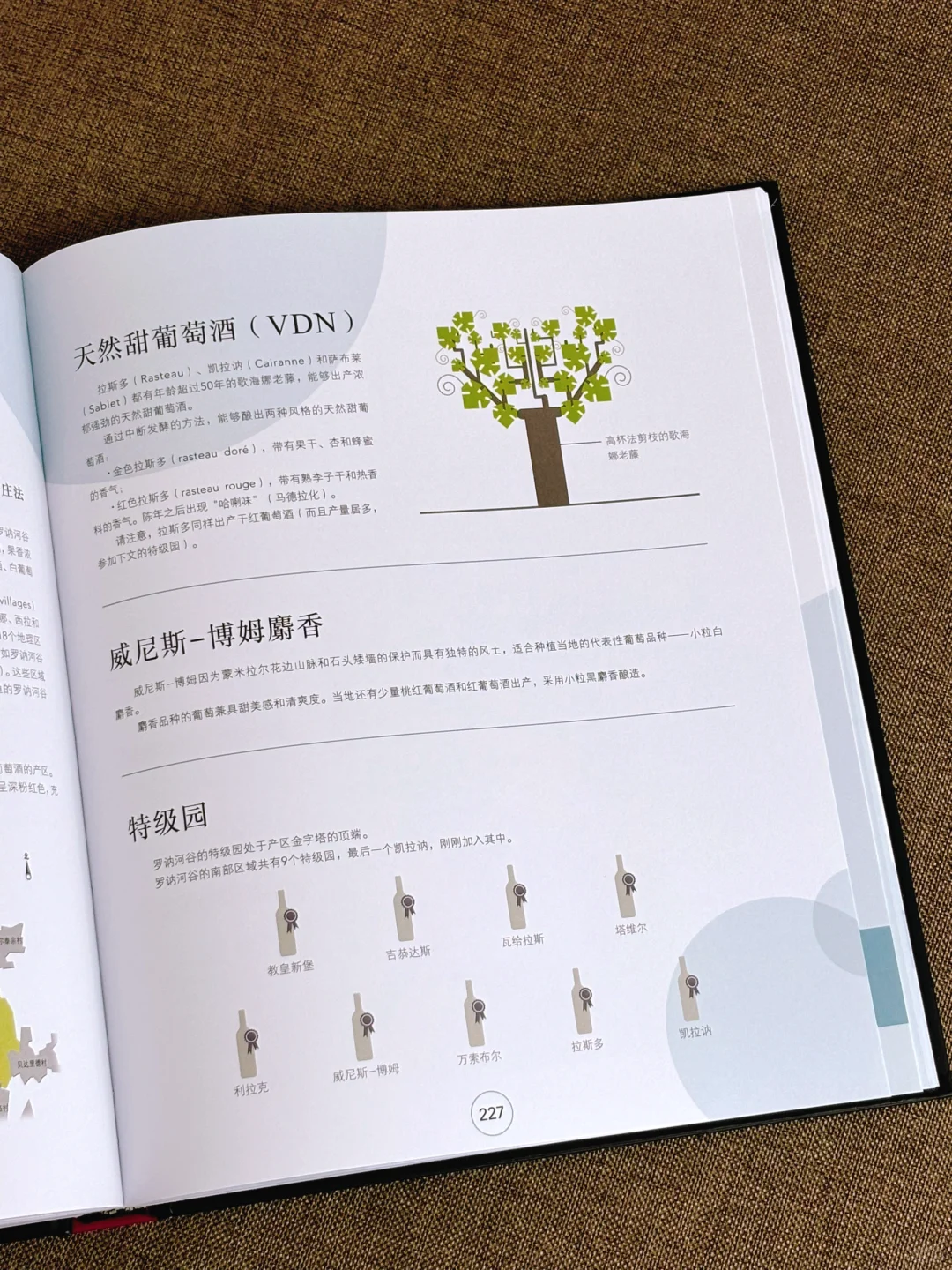 看完这本PPT，你也能成为真正的品酒专家‼️