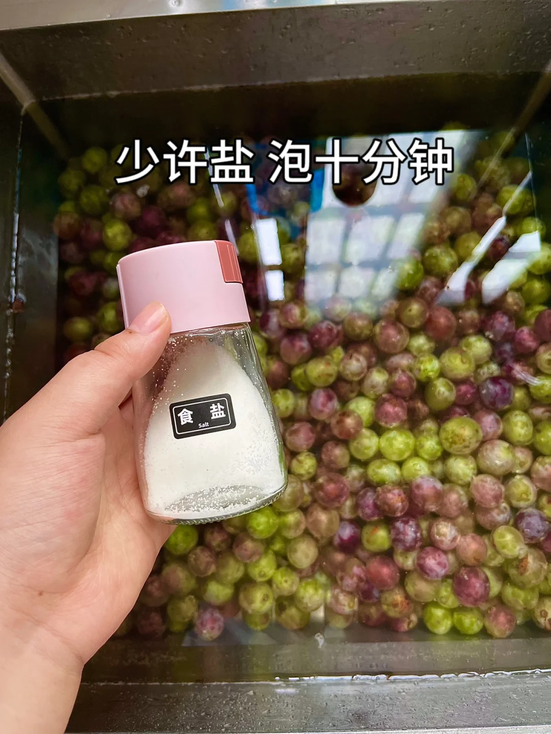 第一次自己做葡萄酒，这算成功了吗❗️❓