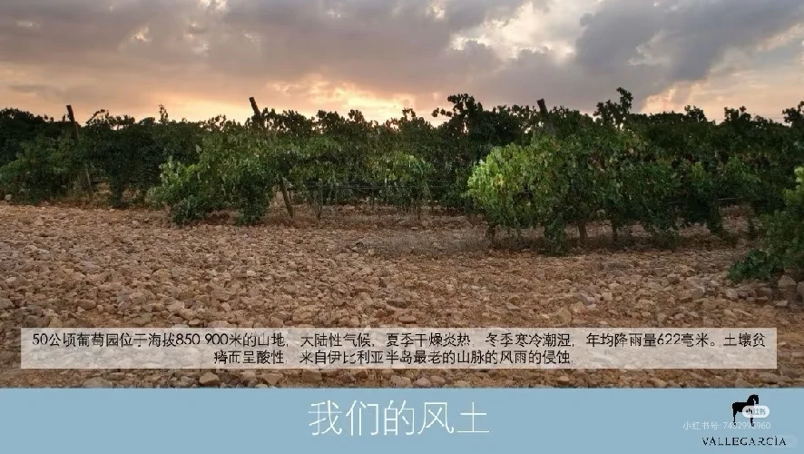 好酒推荐：西班牙??小伊比利亚干红