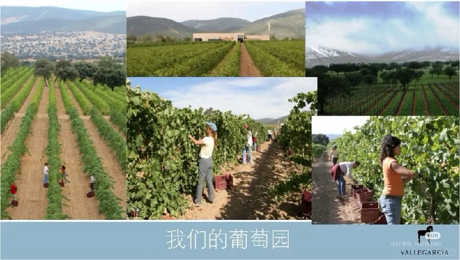 好酒推荐：西班牙??小伊比利亚干红