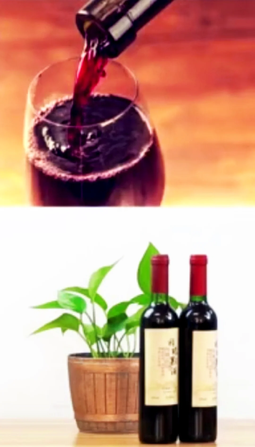 原来葡萄酒有这么多保健功效