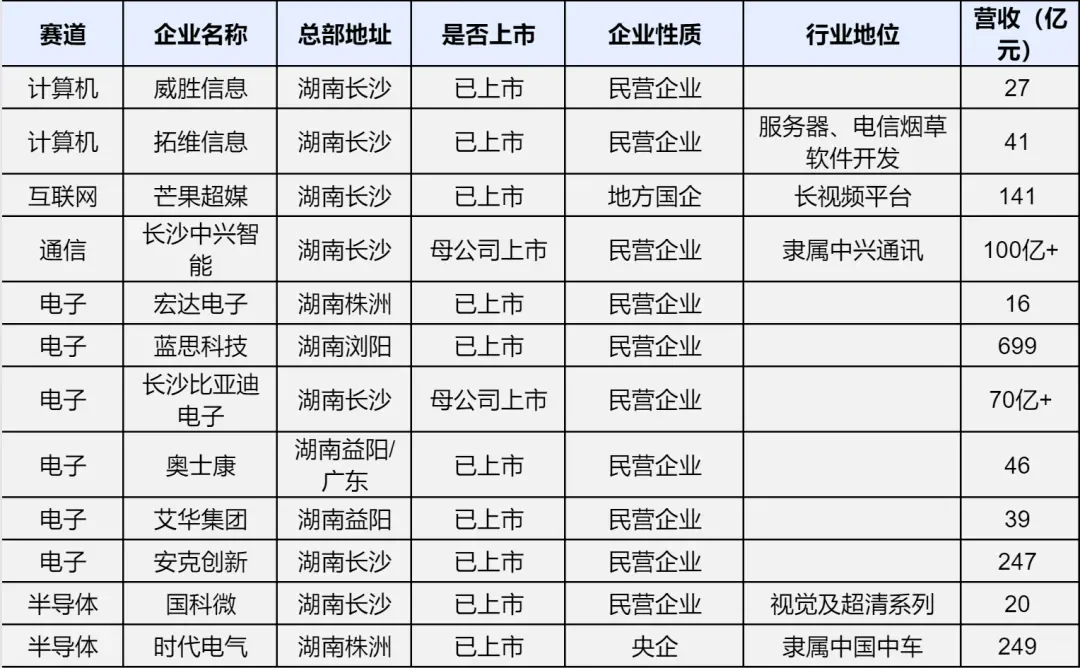 湖南地区五大赛道110家知名企业解读