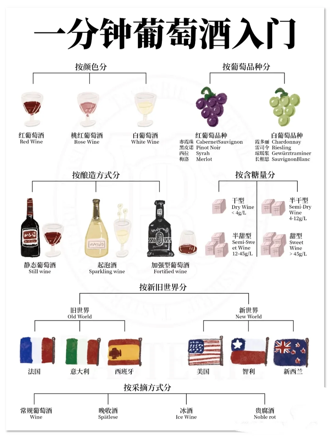 新手必看！葡萄酒分类入门