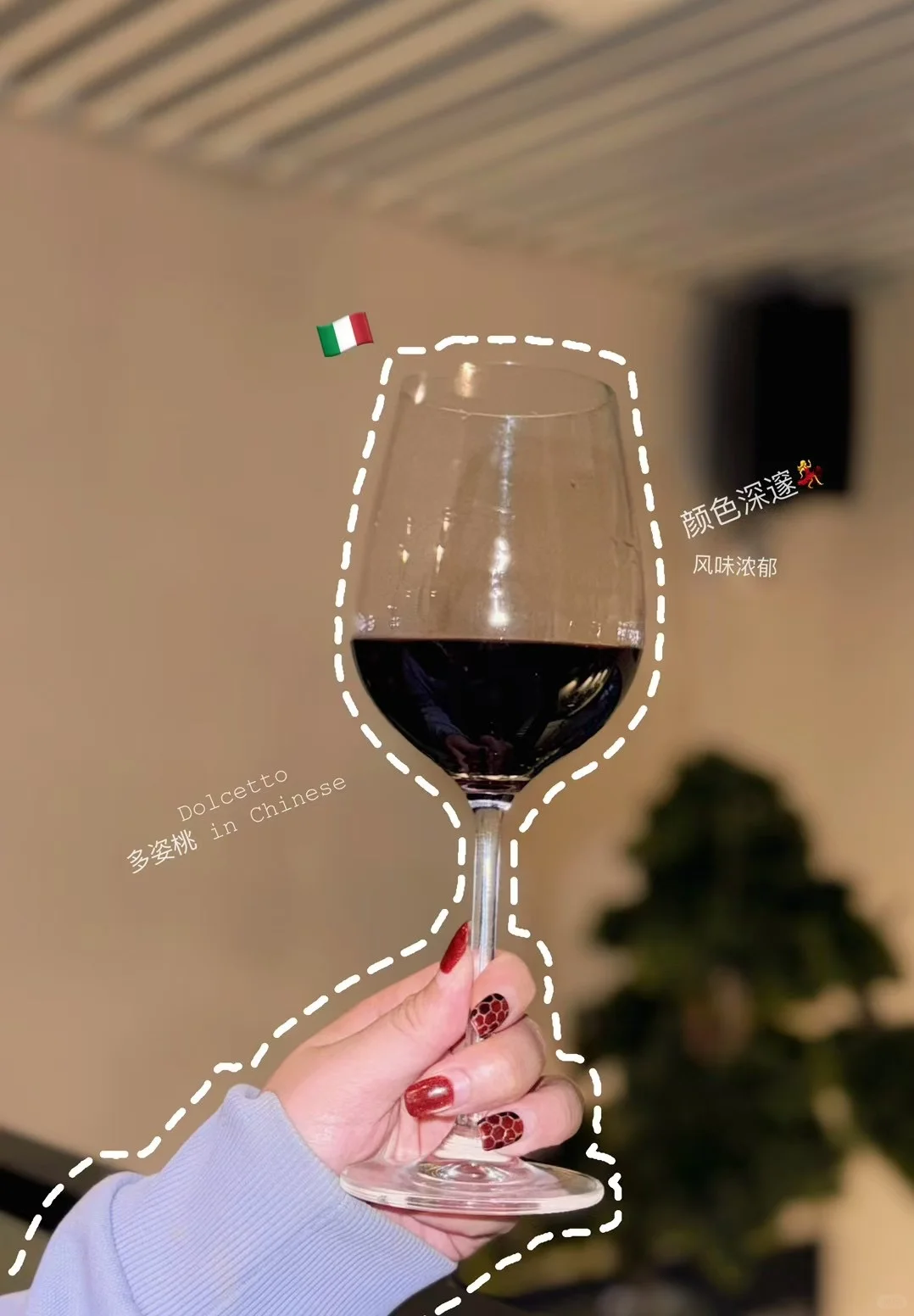 Is ANKI ｜葡萄酒圈最不正经的品酒师来咯！