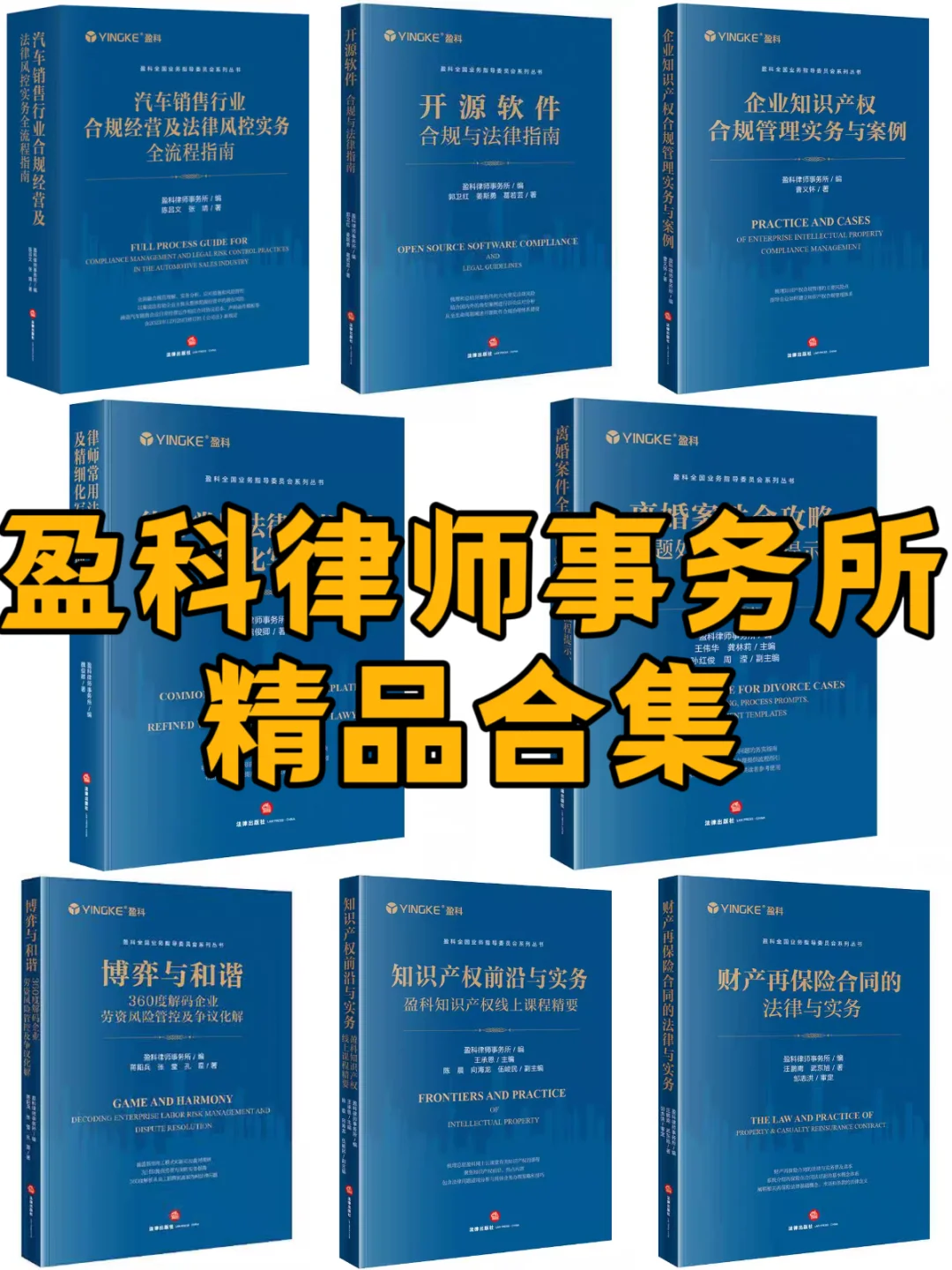 盈科法律实务的宝藏指南【全十本】电子版