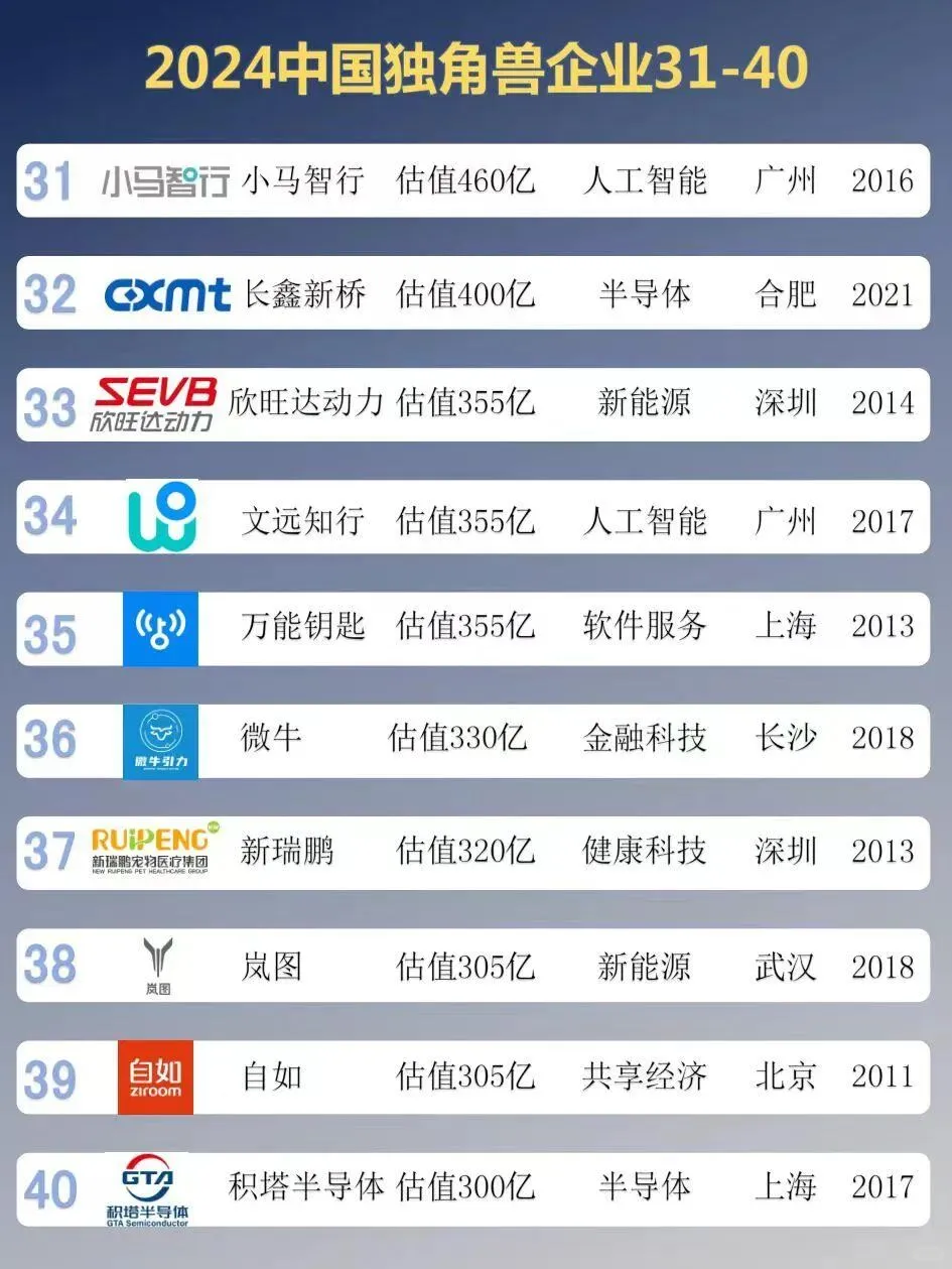 2024中国独角兽企业top100榜单 最新！最强