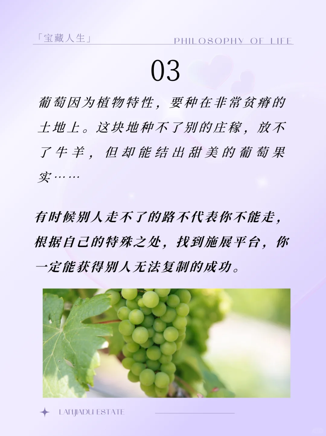 ?精英品酒｜10个喝葡萄酒才懂的人生哲理