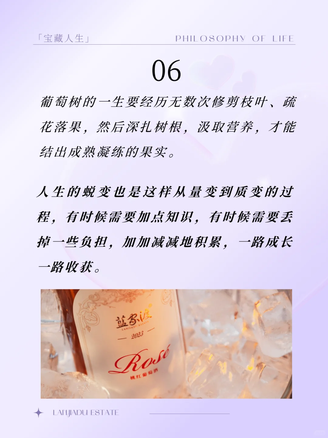?精英品酒｜10个喝葡萄酒才懂的人生哲理