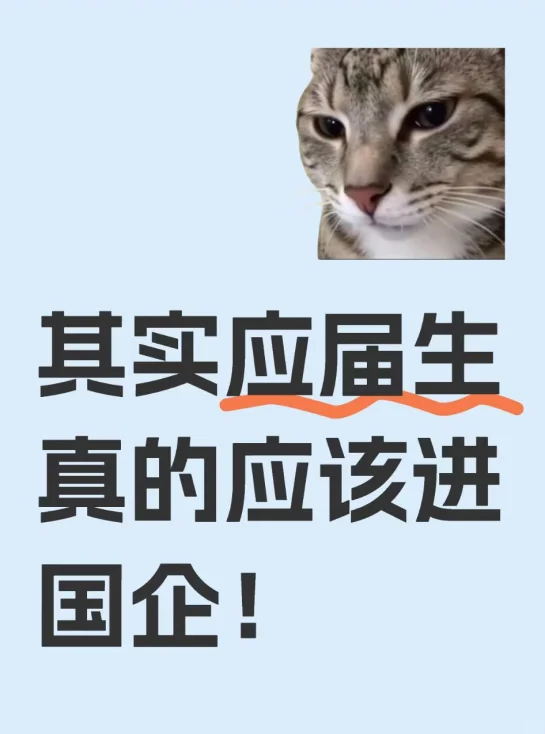 其实应届生真的应该进国企！