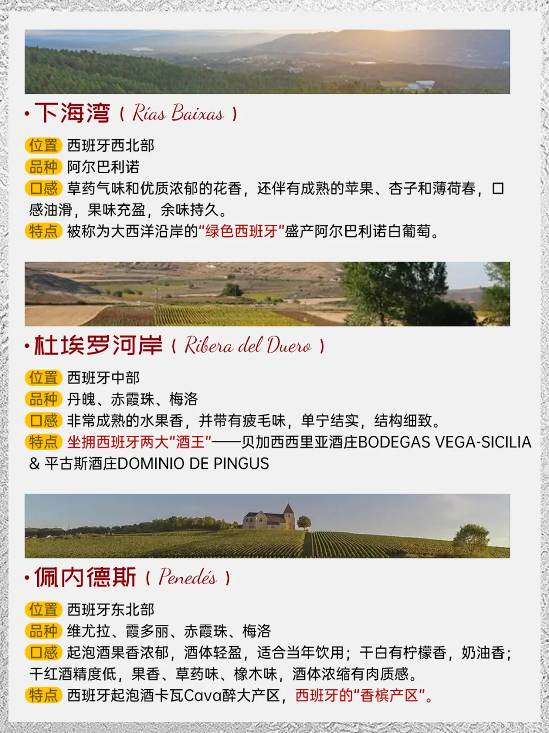 第三弹❗️西班牙葡萄酒九大经典产区‼️