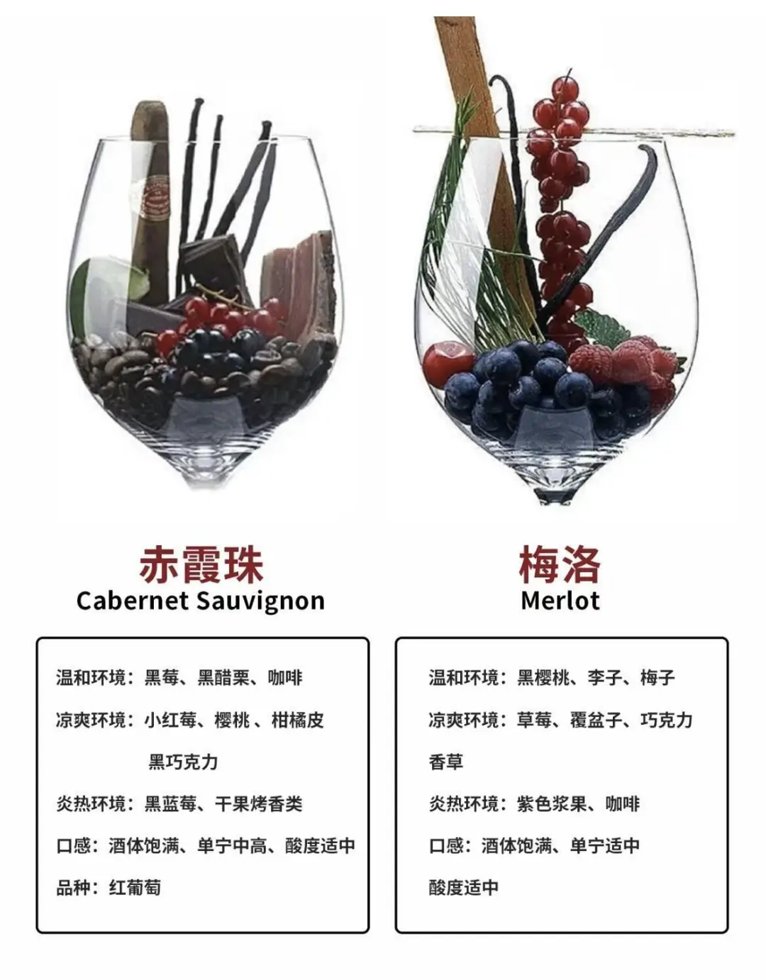 葡萄酒风味如何看懂？3分钟看懂葡萄酒风味