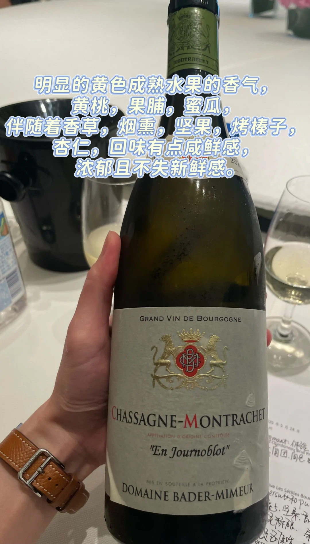 Wine Sharing｜最近被惊艳到的六支葡萄酒