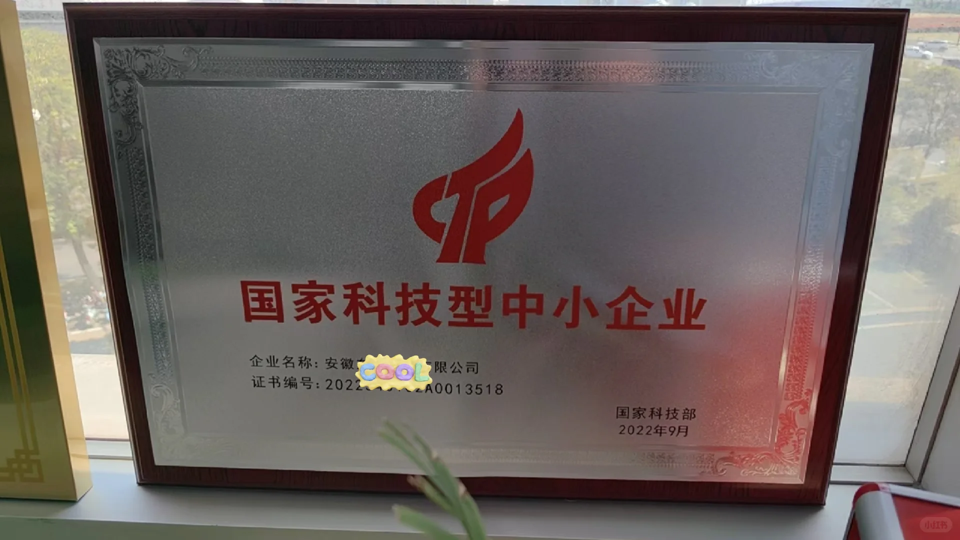 国家级荣誉，科技型中小企业