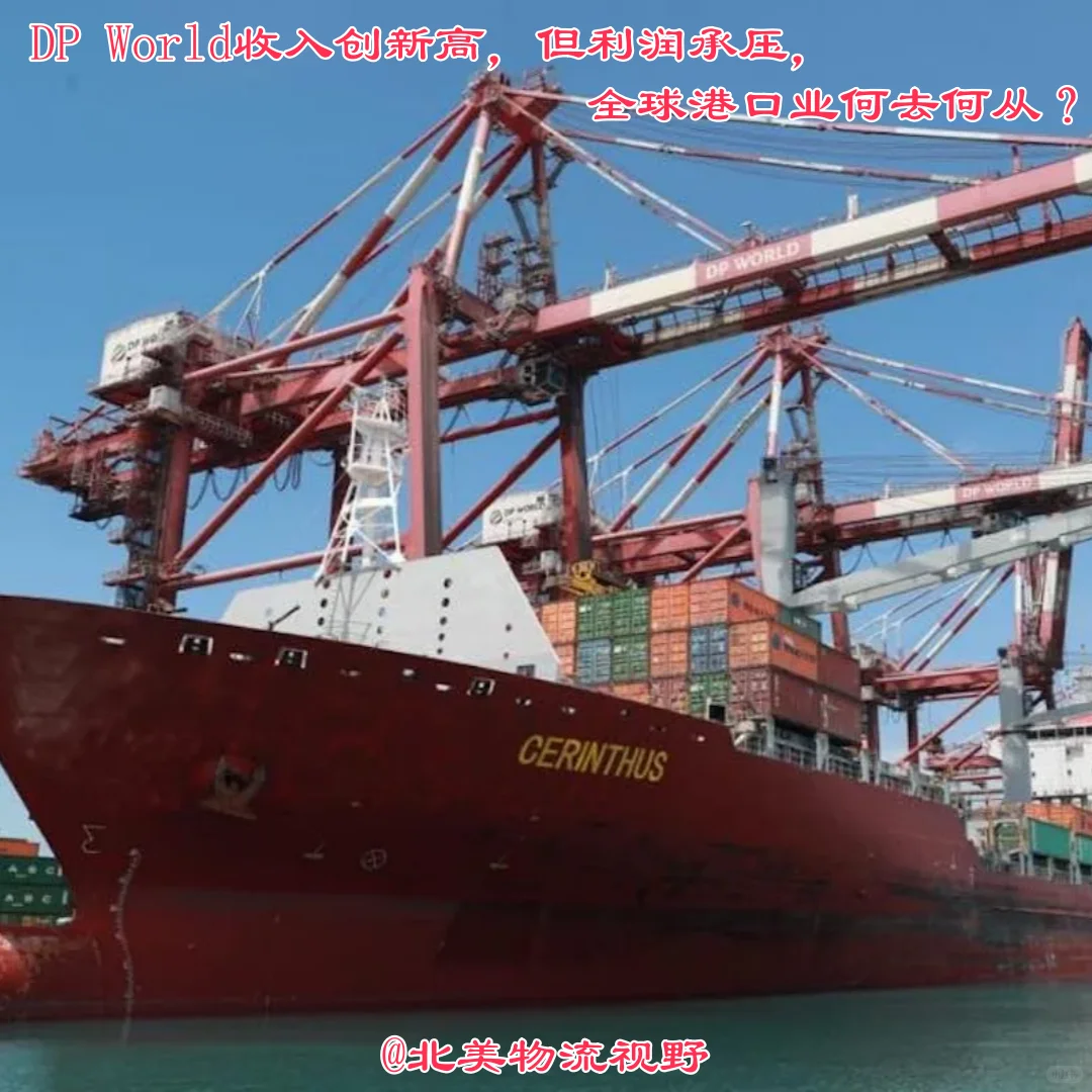 DP World收入创新高，但利润承压